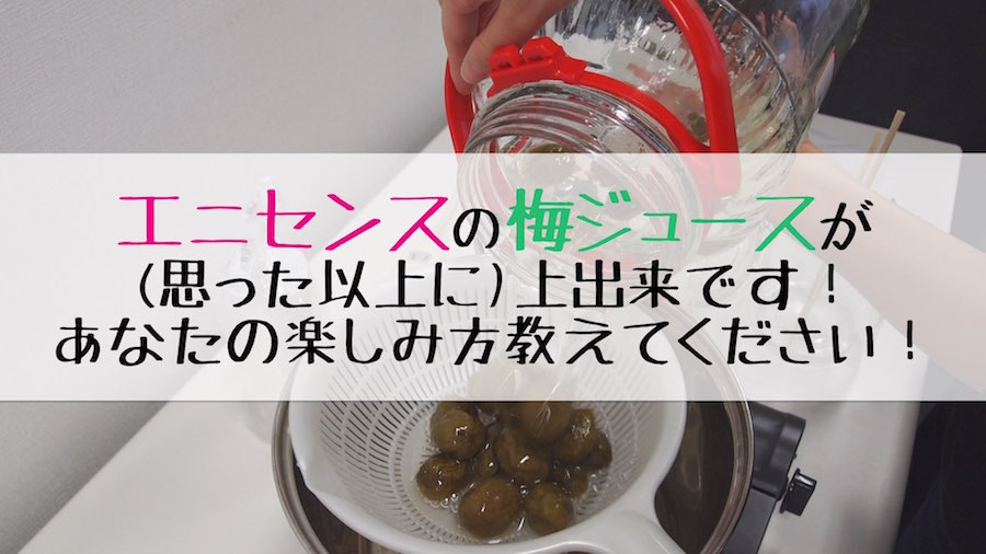 umeshu-project-syrup-top